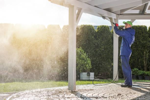 Best Vinyl Siding Pressure Washing in Lolo, MT
